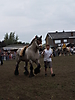 Trekpaardenhappening 2011