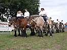 Trekpaardenhappening